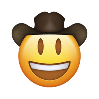 COW,Cowboy.Finance