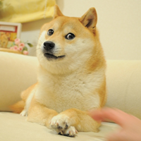 The Doge NFT