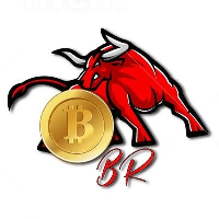 Bull Run Finance